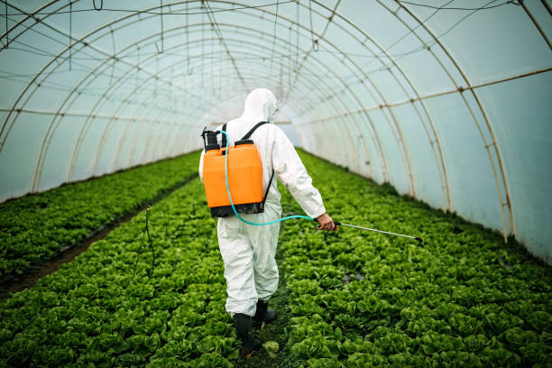 Best Pest Inspection Near Me  in Clear Lake, SD