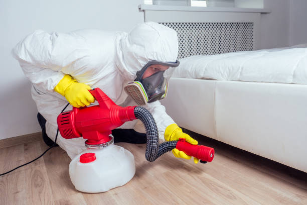 Flea Control Services in Clear Lake, SD