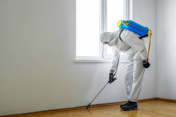 Best Termite Control Services  in Clear Lake, SD
