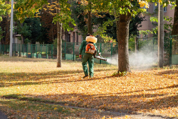 Best Wasp Removal Services  in Clear Lake, SD
